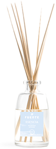 Protein Shampoo